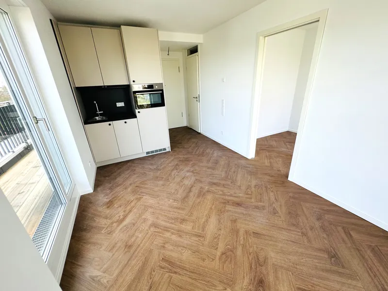 Moderne 2-Raum Wohnung mit Terrasse und EBK! — photo 1